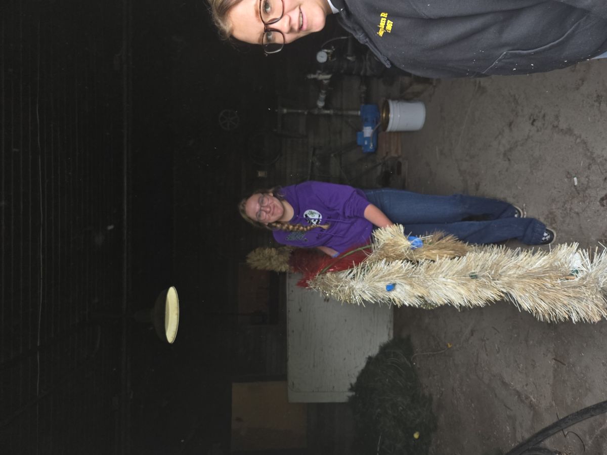 students cleaning Christmas decorations out of storage faciltiy