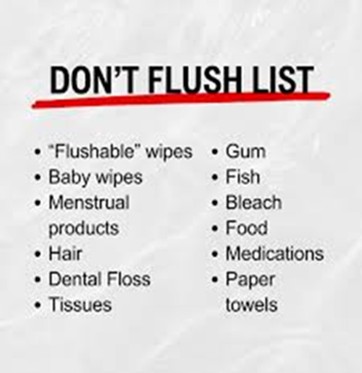 Verbiage list Don't Flush List underlined in red
