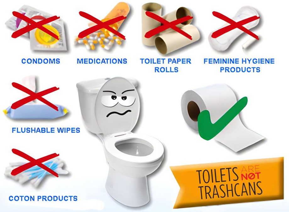 angry toilet with crossed out items condoms medications toilet paper rolls feminine hygiene products flushable wipes and coton products; green check item toilet paper; verbiage toilets are not trashcans